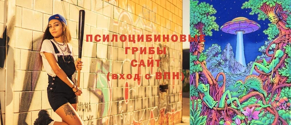 ешки Тавда